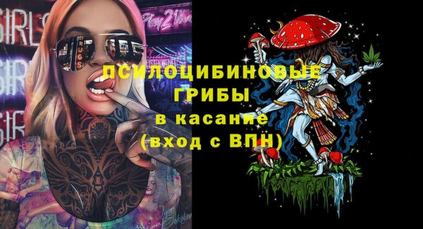 шишки Арсеньев