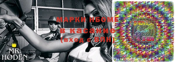 шишки Арсеньев