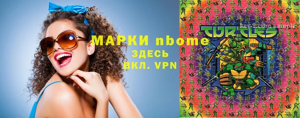 шишки Арсеньев