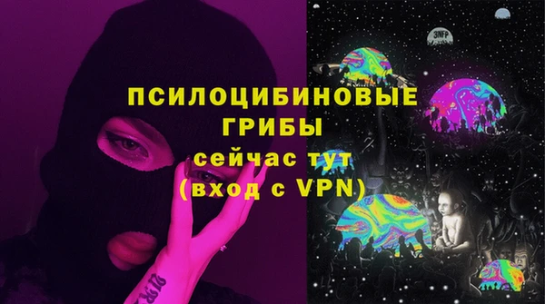 PSILOCYBIN Абинск