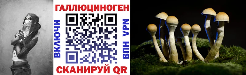 Псилоцибиновые грибы Psilocybe  Красково 